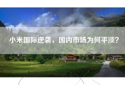 小米国际逆袭，国内市场为何平淡？