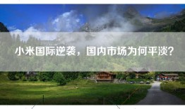 小米国际逆袭，国内市场为何平淡？