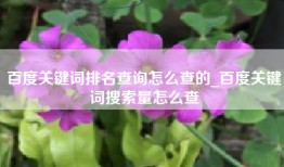 百度关键词排名查询怎么查的_百度关键词搜索量怎么查