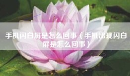 手机闪白屏是怎么回事（手机出现闪白屏是怎么回事）