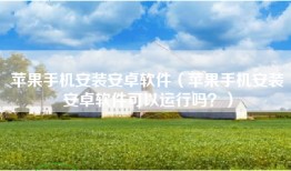 苹果手机安装安卓软件（苹果手机安装安卓软件可以运行吗？）