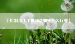 手机制造（手机制造属于什么行业）
