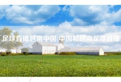 足球直播越南中国(中国和越南足球直播)