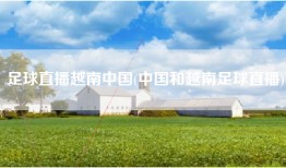 足球直播越南中国(中国和越南足球直播)