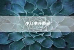 小红书开聚光