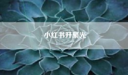 小红书开聚光