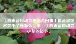 手机声音自动变小怎么回事手机音量突然变小了是怎么回事「手机声音自动变小怎么回事」
