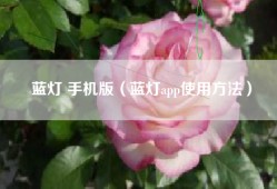 蓝灯 手机版（蓝灯app使用方法）