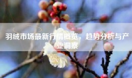 羽绒市场最新行情概览，趋势分析与产业洞察