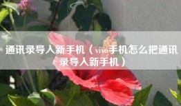 通讯录导入新手机（vivo手机怎么把通讯录导入新手机）