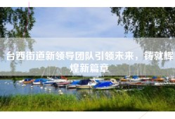 台西街道新领导团队引领未来，铸就辉煌新篇章