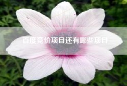 百度竞价项目还有哪些项目