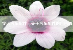笑话汽车配件，关于汽车配件的广告语