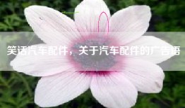 笑话汽车配件，关于汽车配件的广告语