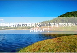 如何选择有效的网站SEO（掌握有效的SEO选择技巧）