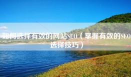 如何选择有效的网站SEO（掌握有效的SEO选择技巧）