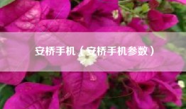 安桥手机（安桥手机参数）