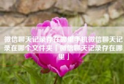 微信聊天记录存在哪里手机微信聊天记录在哪个文件夹「微信聊天记录存在哪里」