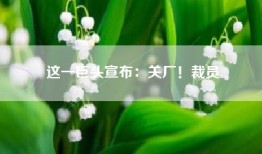 这一巨头宣布：关厂！裁员