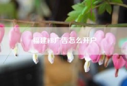 福建FB广告怎么开户