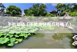 手机项链（手机项链用几号绳子）