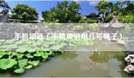 手机项链（手机项链用几号绳子）