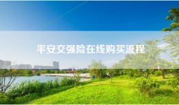 平安交强险在线购买流程