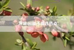 深蓝sl03能不能连热点