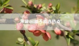 深蓝sl03能不能连热点