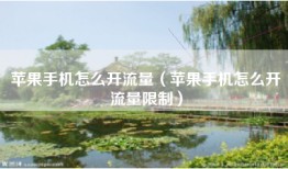苹果手机怎么开流量（苹果手机怎么开流量限制）