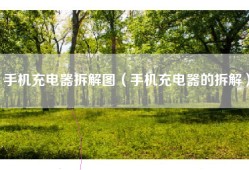 手机充电器拆解图（手机充电器的拆解）