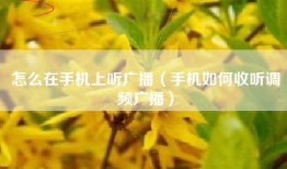 怎么在手机上听广播（手机如何收听调频广播）