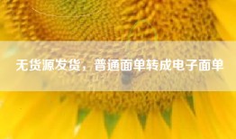 无货源发货，普通面单转成电子面单
