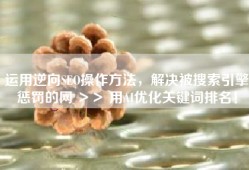运用逆向SEO操作方法，解决被搜索引擎惩罚的网 ＞＞ 用AI优化关键词排名！