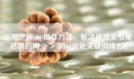 运用逆向SEO操作方法，解决被搜索引擎惩罚的网 ＞＞ 用AI优化关键词排名！