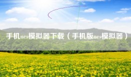 手机nes模拟器下载（手机版nes模拟器）
