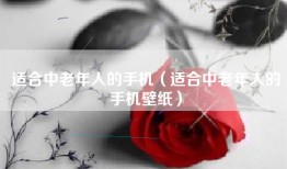 适合中老年人的手机（适合中老年人的手机壁纸）