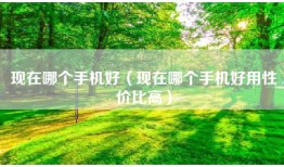 现在哪个手机好（现在哪个手机好用性价比高）