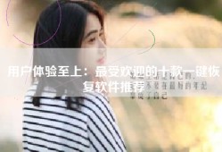 用户体验至上：最受欢迎的十款一键恢复软件推荐