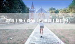 漫猫手机（漫猫手机投影手机价格）