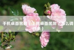 手机桌面黑屏（手机桌面黑屏了怎么调回来）