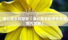 蒲公英手机壁纸（蒲公英手机壁纸高清图片竖屏）