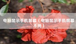 电脑显示手机屏幕（电脑显示手机屏幕不亮）