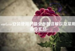 curl.exe安装使用的最全参数详解以及常用命令汇总