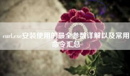 curl.exe安装使用的最全参数详解以及常用命令汇总