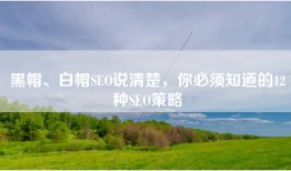 黑帽、白帽SEO说清楚，你必须知道的12种SEO策略
