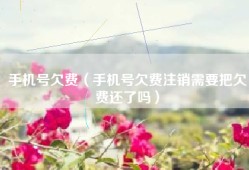 手机号欠费（手机号欠费注销需要把欠费还了吗）