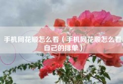 手机同花顺怎么看（手机同花顺怎么看自己的排单）