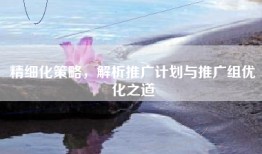 精细化策略，解析推广计划与推广组优化之道
