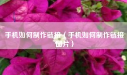 手机如何制作链接（手机如何制作链接图片）